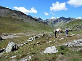 Lasciamo il passo.........